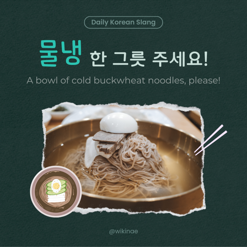 [Tiếng lóng Hàn Quốc] #3 물냉 (Mì kiều mạch lạnh)