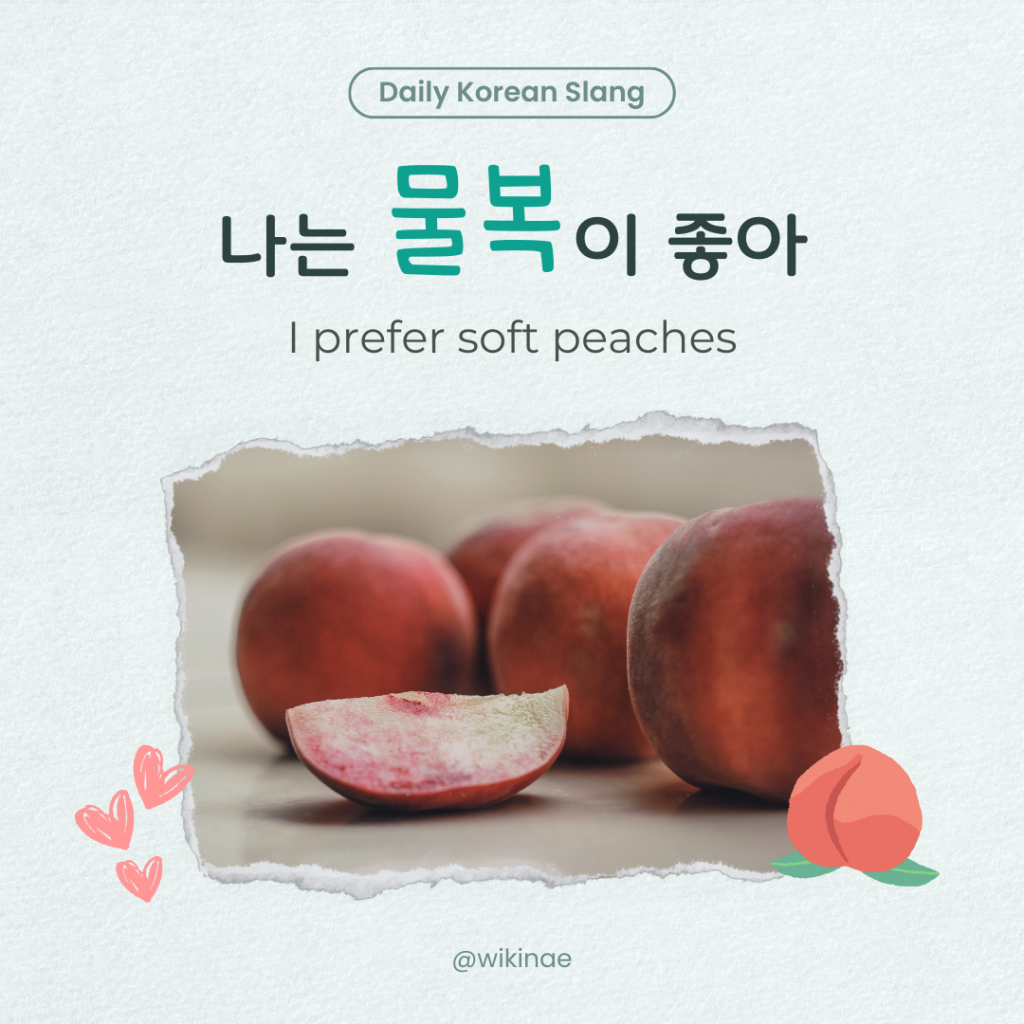 [Korean Slang] #2 물복(Soft peach)